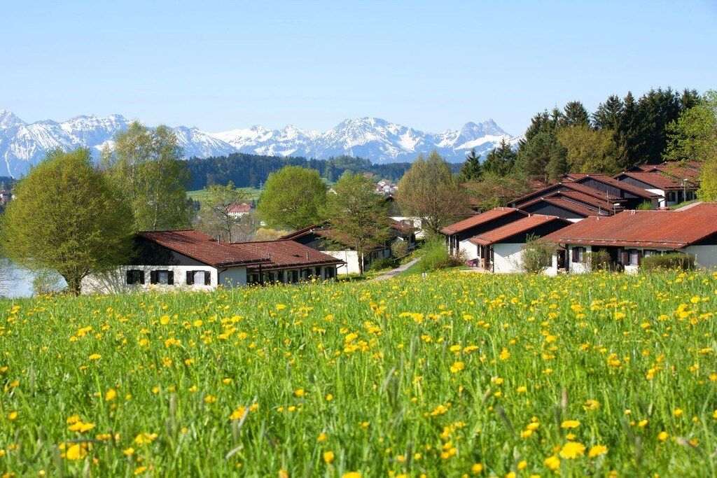 Un village rural avec des maisons traditionnelles, un champ de fleurs jaunes et, au loin, des montagnes aux sommets enneigés.