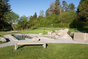 A swimming pool with a stone deck, surrounded by a grassy area and trees. - Holiday home in Allgäu with 2 bedrooms (Lechbruck)