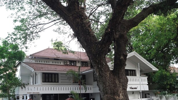 Ảnh chưa phân loại, 1 trong số 24 ảnh, nút