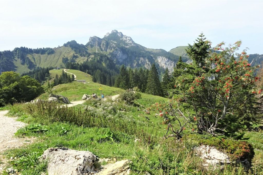 A mountainous landscape with a dirt path leading to a small building, surrounded by greenery and trees.