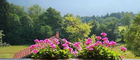 Un jardin aux fleurs roses devant une maison avec un toit rouge, entouré d’arbres verdoyants et avec des montagnes en arrière-plan.