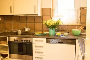 A kitchen with a Bosch oven, dishwasher, and a window with a curtain. - Holiday home with 2 bedrooms (Simonsberg)