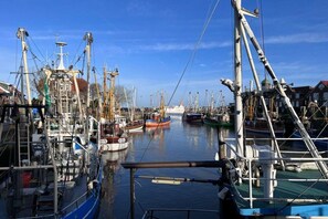 A marina with multiple boats docked, a clear sky, and buildings in the background. - Seal U9 Neuharlingersiel (Neuharlingersiel)
