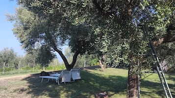 A tree-lined outdoor area with a bench and a ladder.