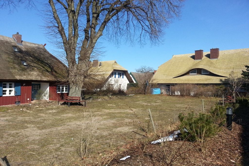 A rural setting with traditional thatched-roof houses, a grassy yard, and a tree.