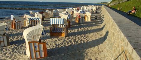 A beach with rows of beach chairs and umbrellas, a concrete walkway, and a grassy area with people.