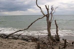 A beach with driftwood and branches on the sand, and the ocean in the background. - Haus Wels in Born a. Darss (Born a. Darß)