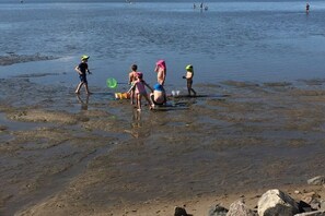 A beach scene with people engaging in water activities. - Holiday apartment with 2 bedrooms (Friedrichskoog-Spitze)
