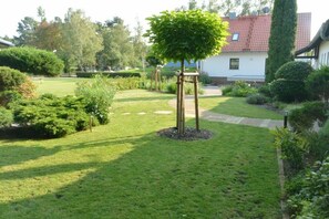 Un jardí ben cuidat amb gespa, un arbre petit i un camí que condueix a un edifici.
