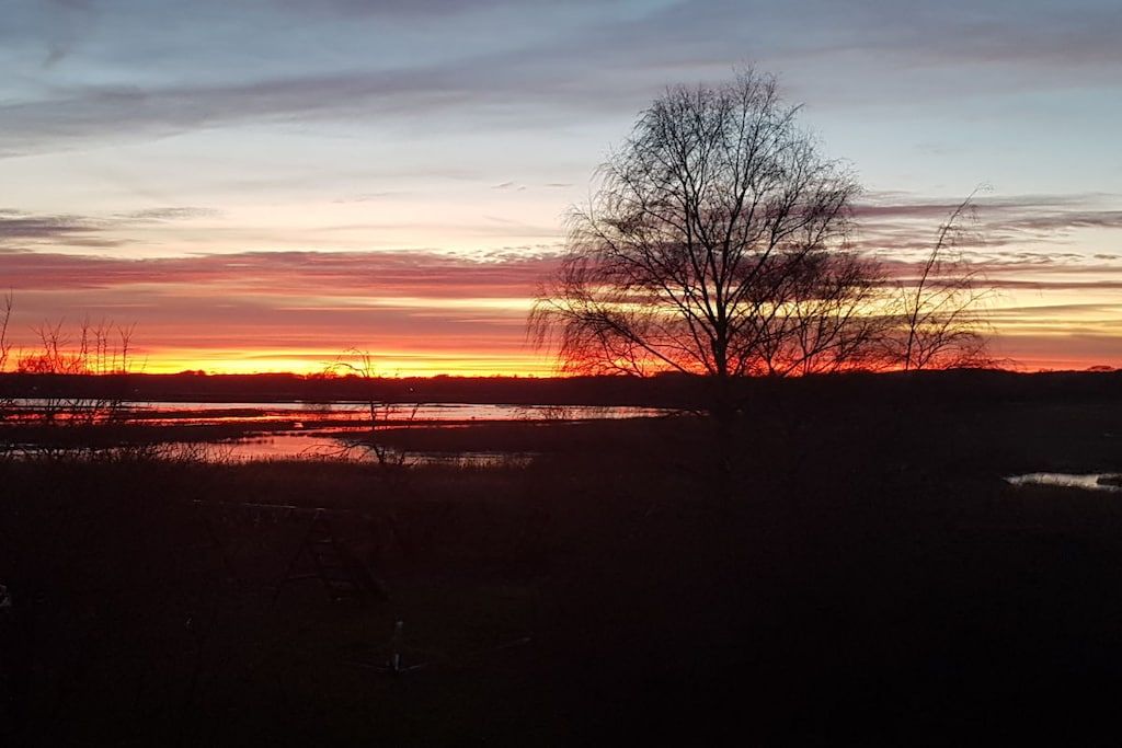A sunset over a flat landscape with a single tree silhouette.