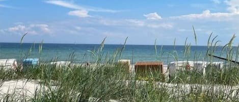 A beach view with a wooden deck, grass, and a clear sky.