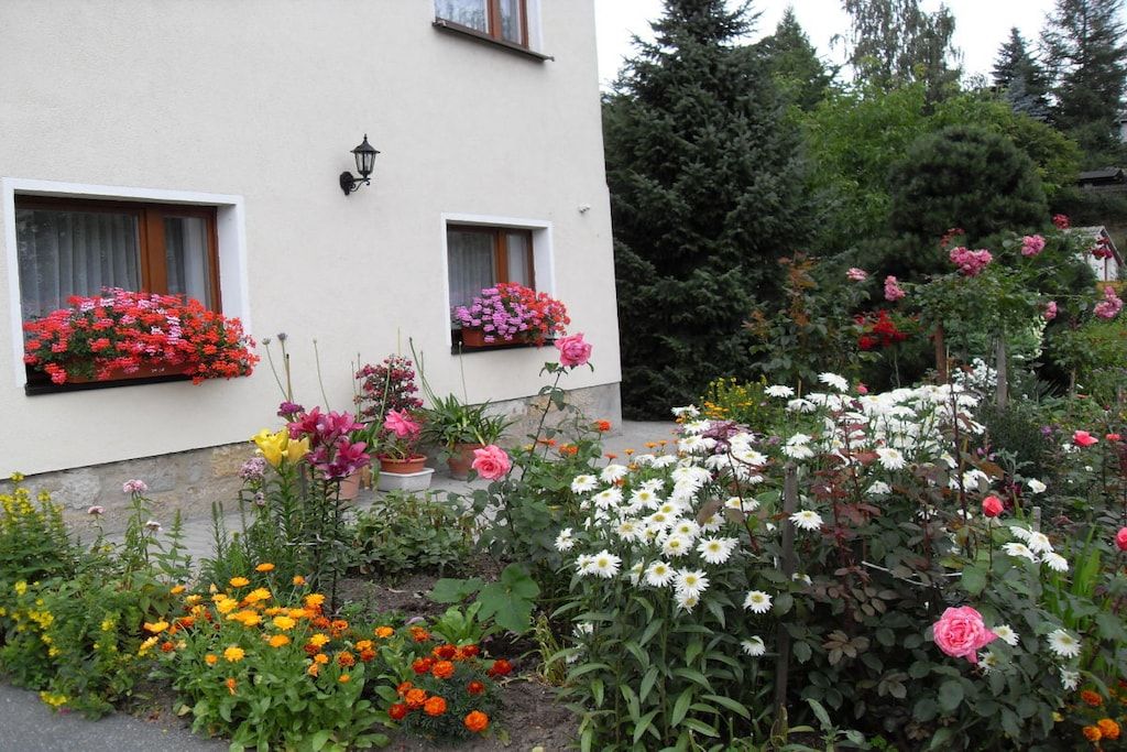 A building with two windows, each with a flower box containing red and pink flowers.