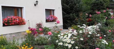 A building with two windows, each with a flower box containing red and pink flowers.