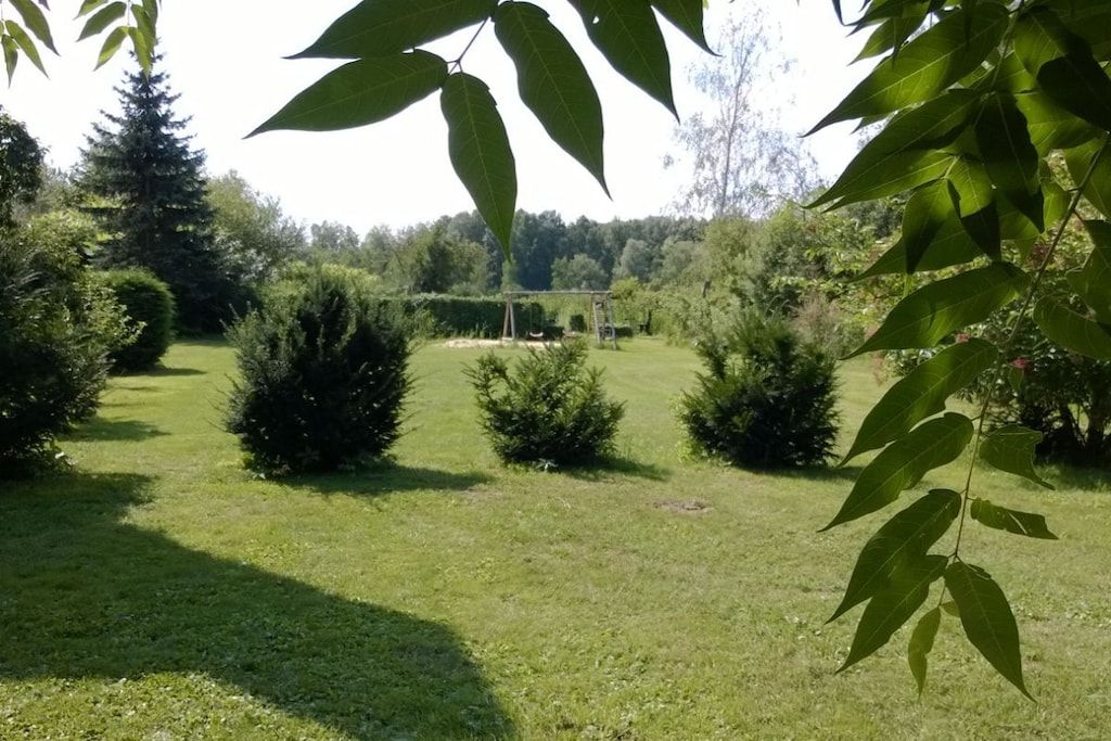 A well-maintained grassy area with a wooden pergola structure, surrounded by dense shrubbery and trees.