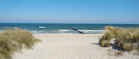 A sandy beach with a clear sky and ocean.