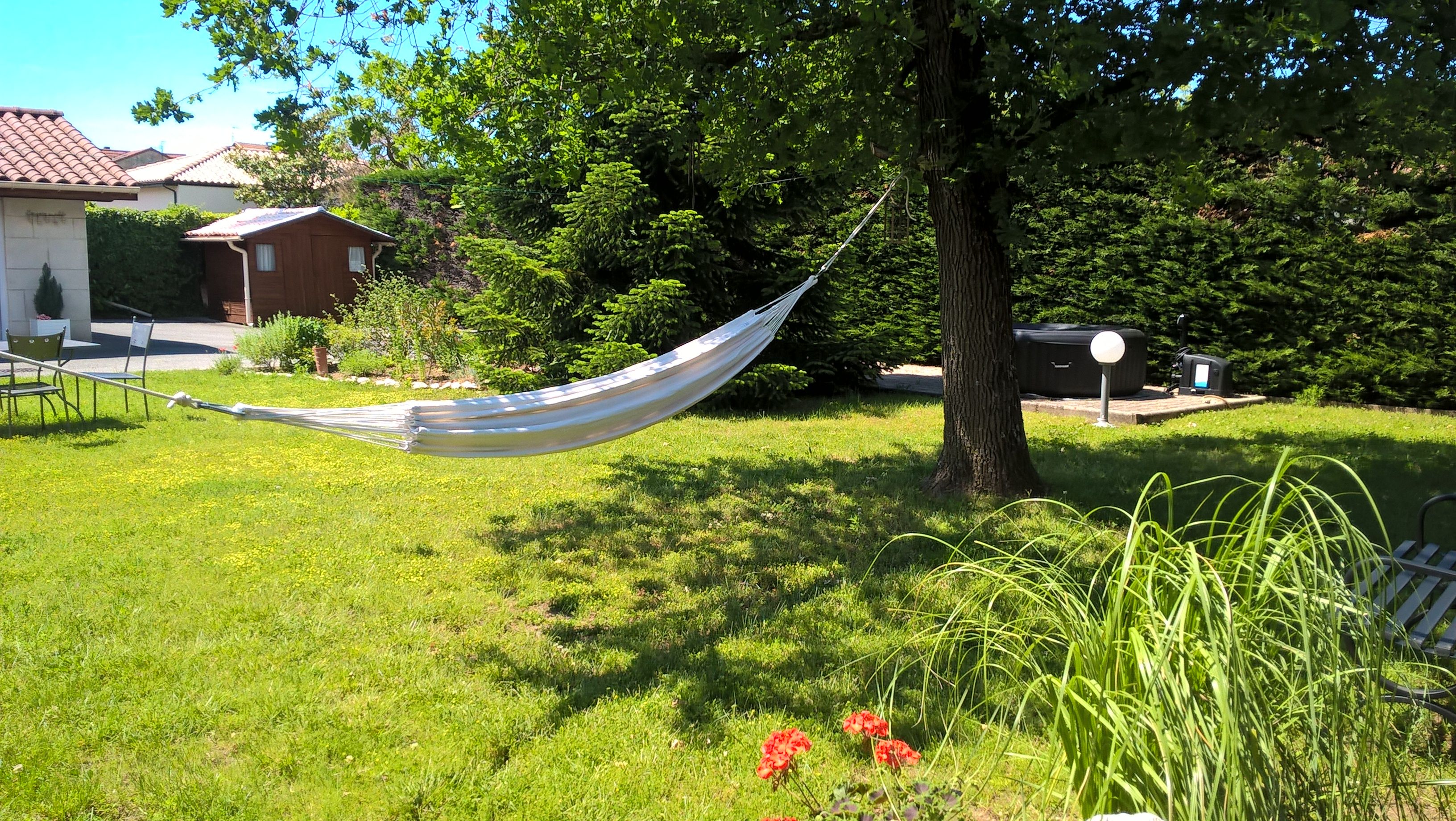 A hammock tied between two trees in a grassy area with a house and a shed in the background.