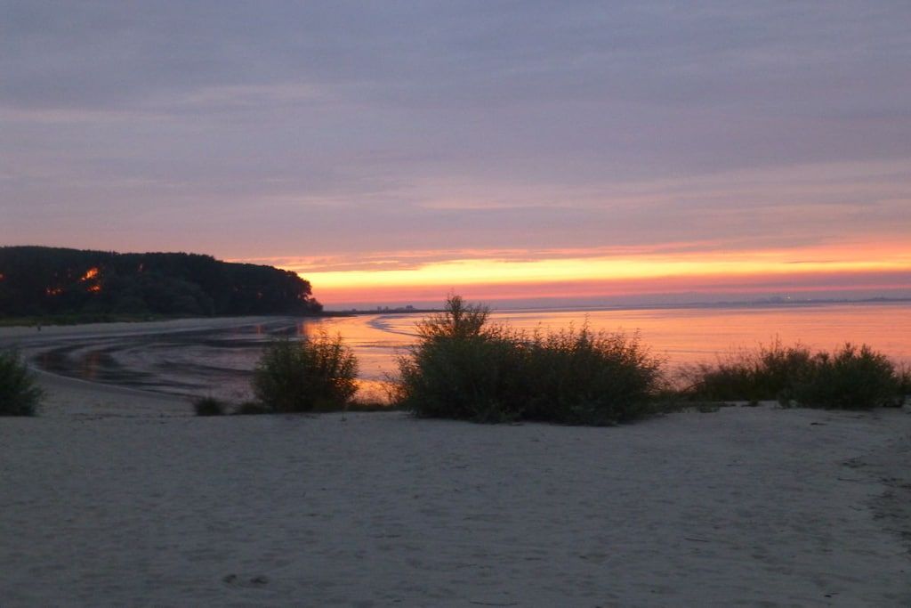 A beach with a curved shoreline and sparse vegetation.