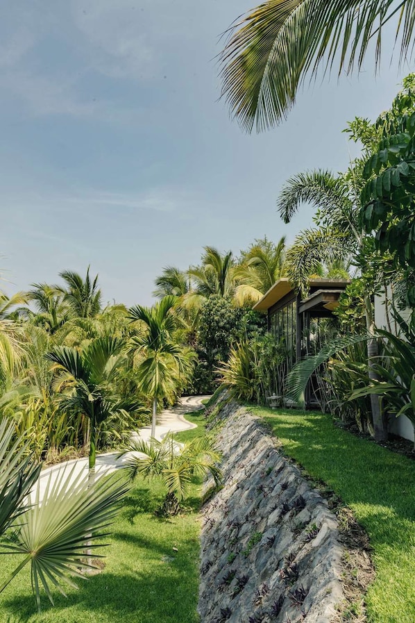Un jardin tropical avec des palmiers, un sentier sinueux et un mur de pierre.