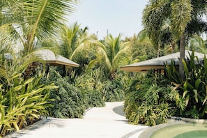 A pathway flanked by lush greenery and palm trees, leading to a building with a sloped roof.