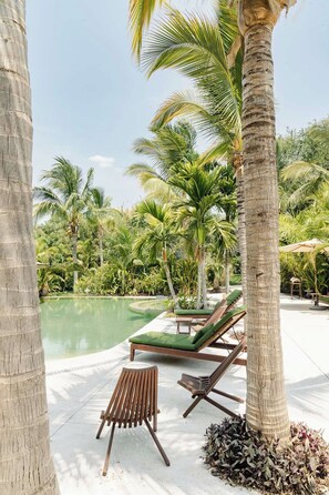 A poolside area with lounge chairs and a palm tree.