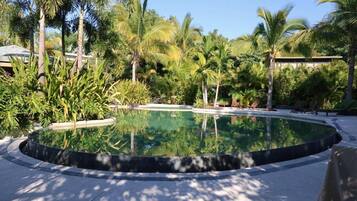 Una piscina circular rodeada de palmeras y follaje, con sillas de descanso y un cielo despejado.