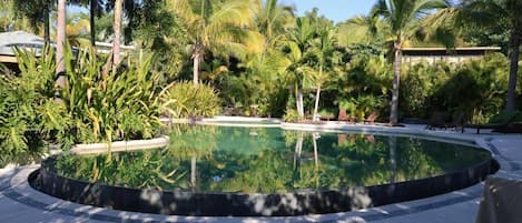 A circular pool surrounded by palm trees and greenery, with lounge chairs and a clear sky.