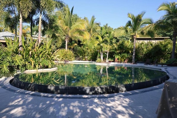 A circular pool surrounded by palm trees and greenery, with lounge chairs and a clear sky.