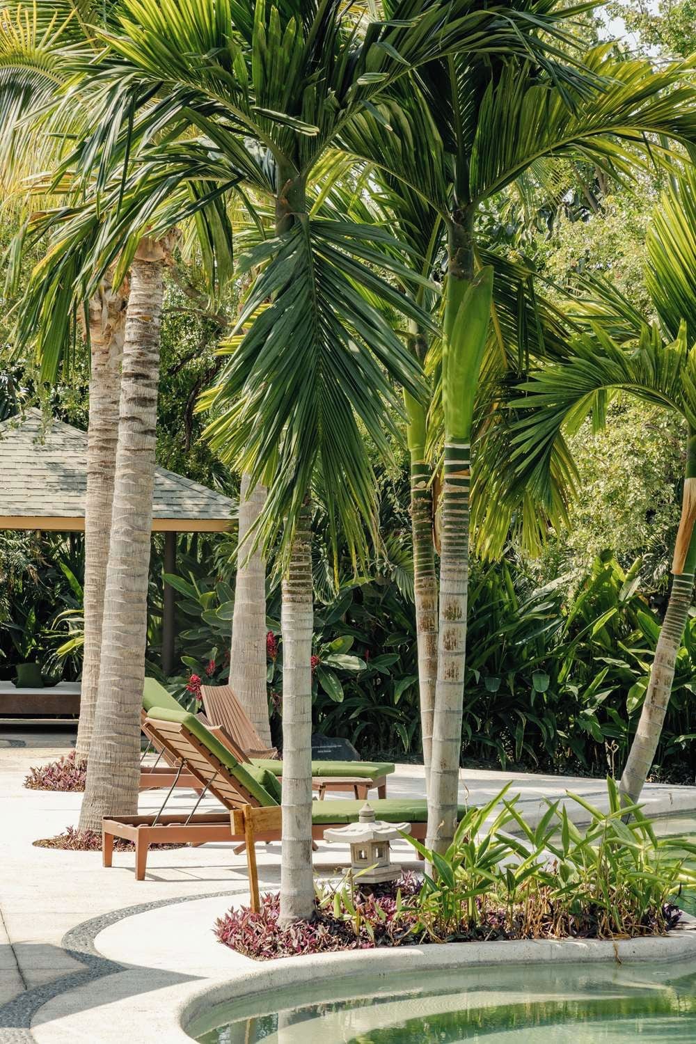 Un área de piscina con palmeras, sillas de descanso y un farol de piedra.