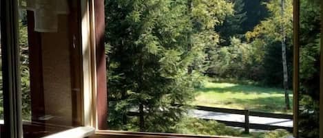 A window with a view of a forested area.