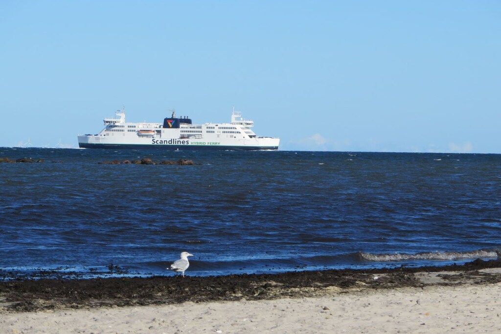 A ferry named 'Scandinave' with a white hull and blue accents, sailing on a calm sea.