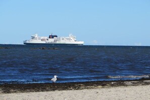 A ferry named 'Scandinave' with a white hull and blue accents, sailing on a calm sea. - Island apartment Fehmarn (Puttgarden\/Fehmarn)