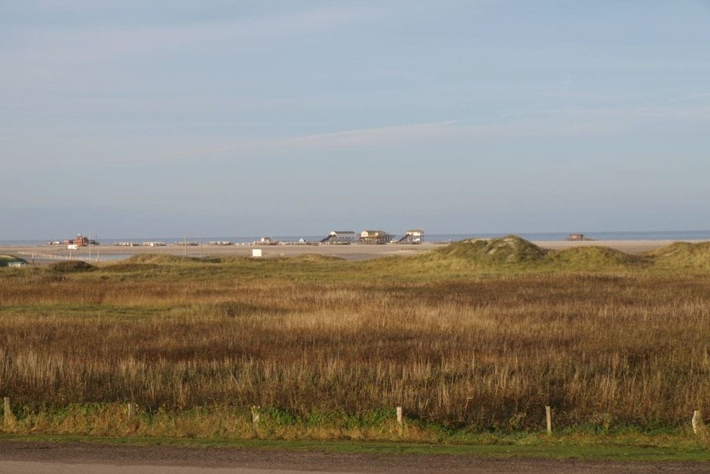 A coastal landscape with buildings and a road.