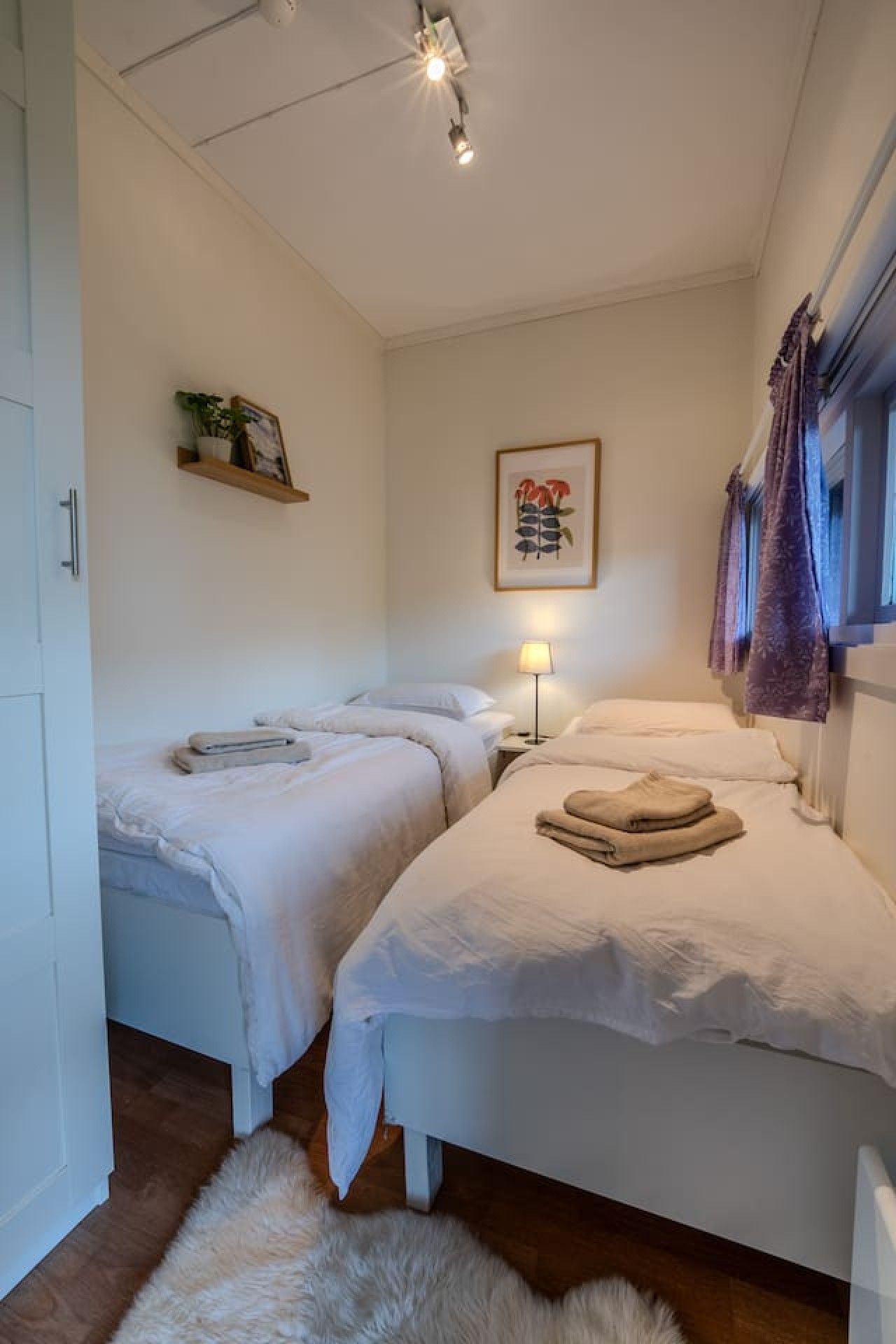 Une chambre avec deux lits, un luminaire au plafond, une étagère fixée au mur avec une plante et un tableau encadré.