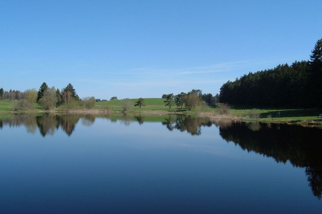 Un llac tranquil amb un reflex clar dels arbres i del cel.