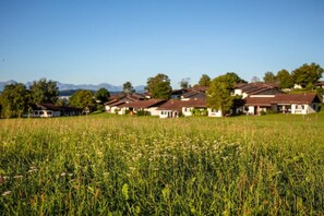 Ein Wohngebiet mit Häusern, einer Wiese und Bäumen.