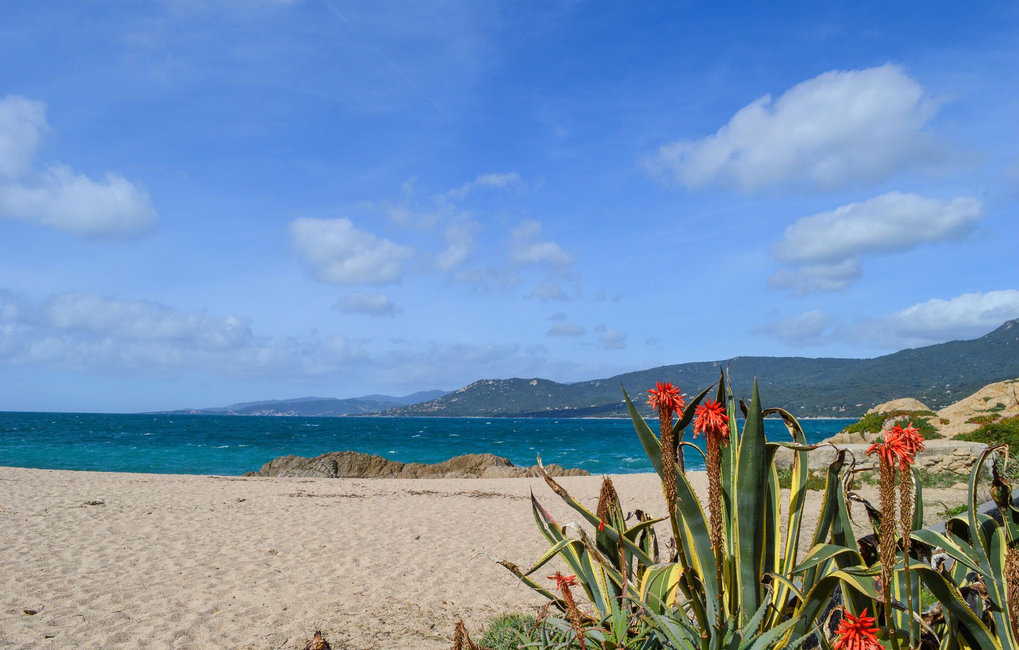 A beach with clear blue water, sandy shore, and distant mountains.