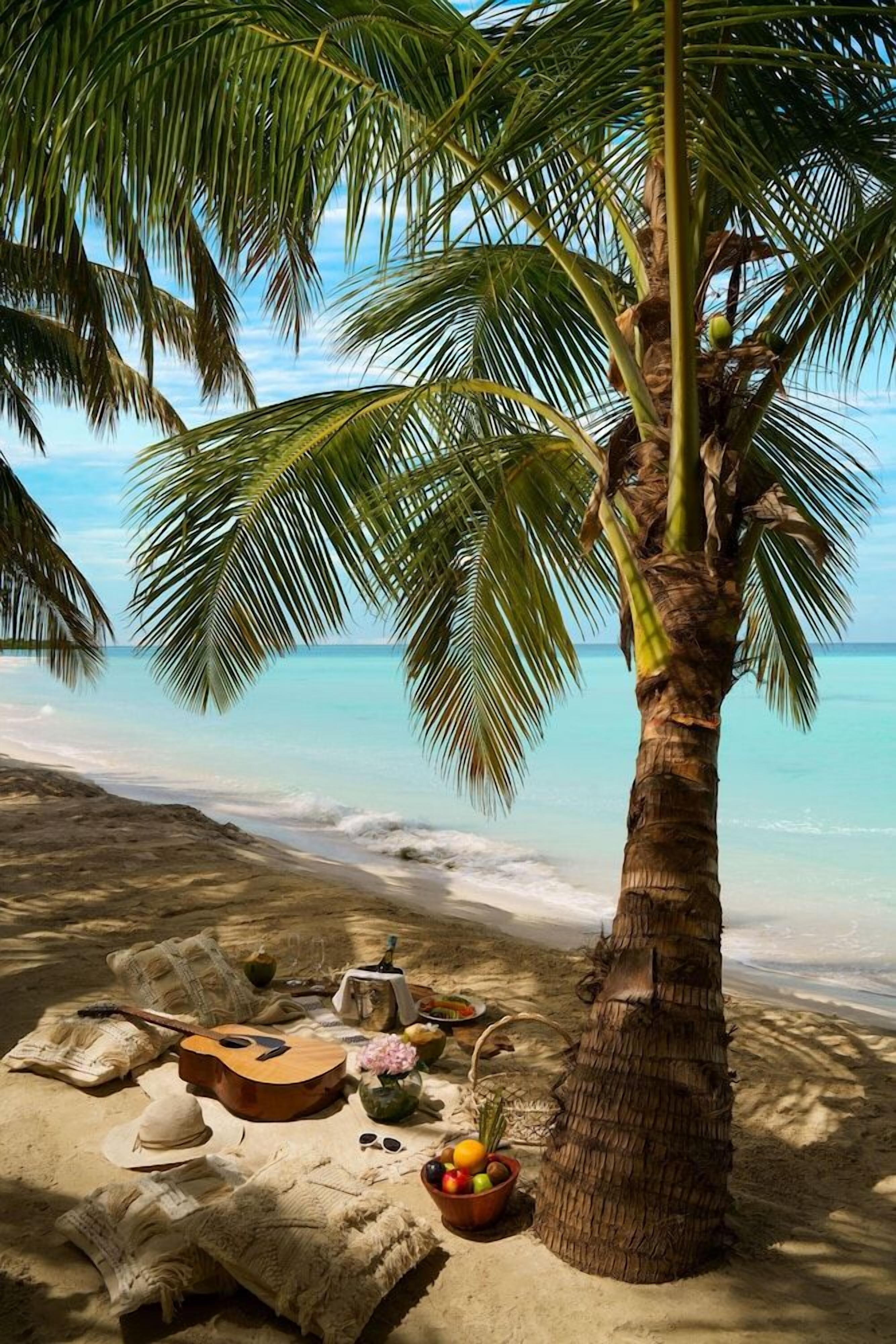 A beach scene with a palm tree, a guitar, a hat, a bowl of fruit, and a blanket on the sand.