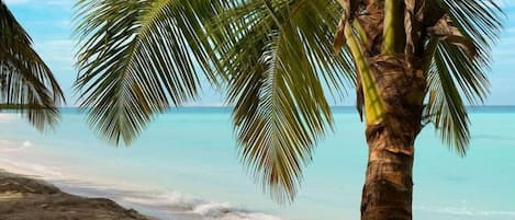 A beach scene with a palm tree, a guitar, a hat, a bowl of fruit, and a blanket on the sand.