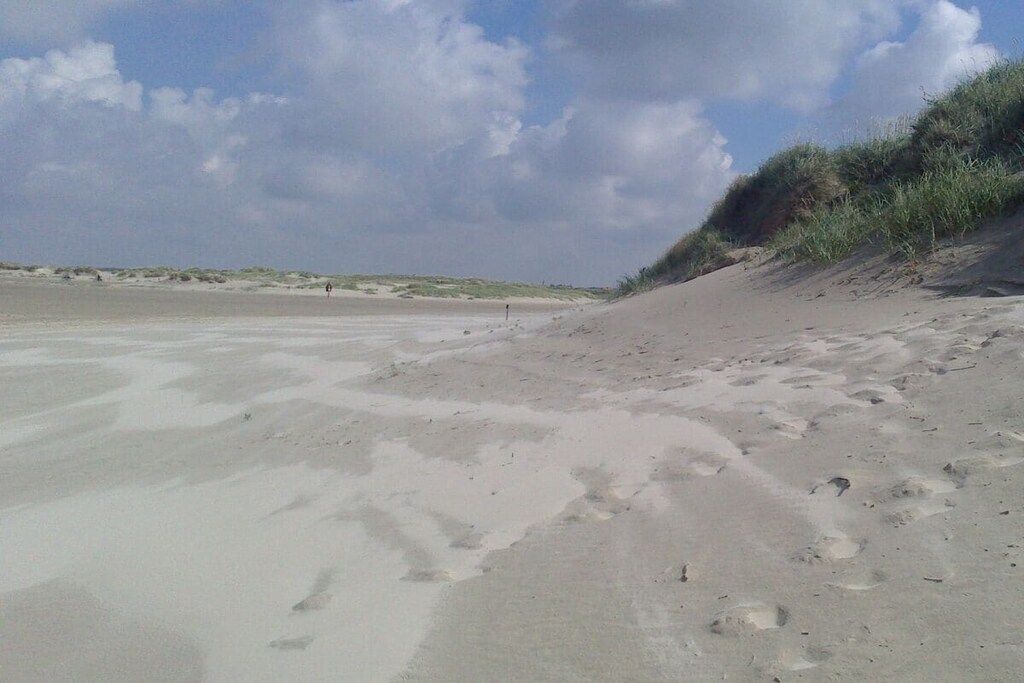 Une plage de sable avec des empreintes et une végétation clairsemée.