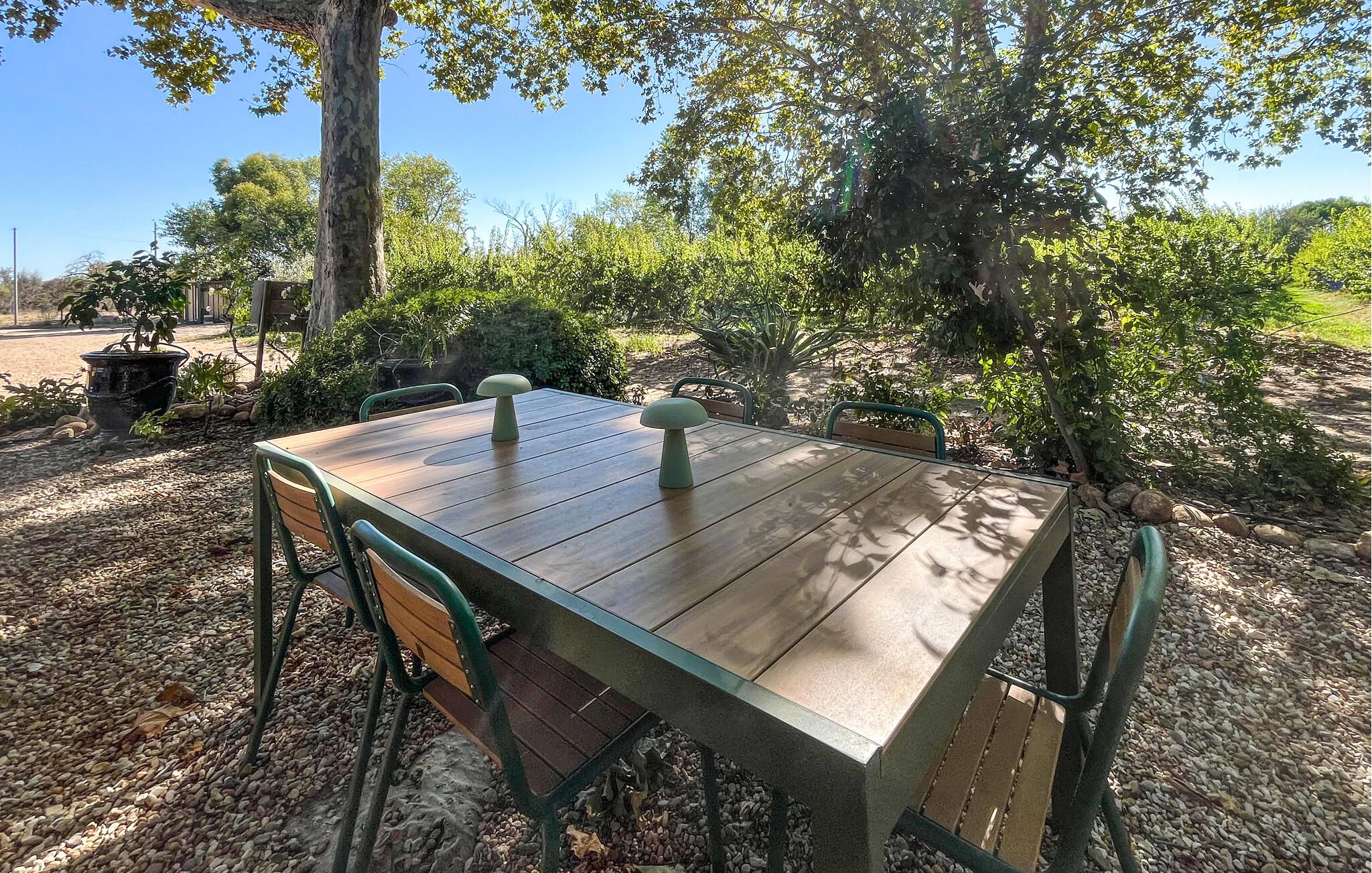 An outdoor wooden table with metal chairs, surrounded by greenery and trees.