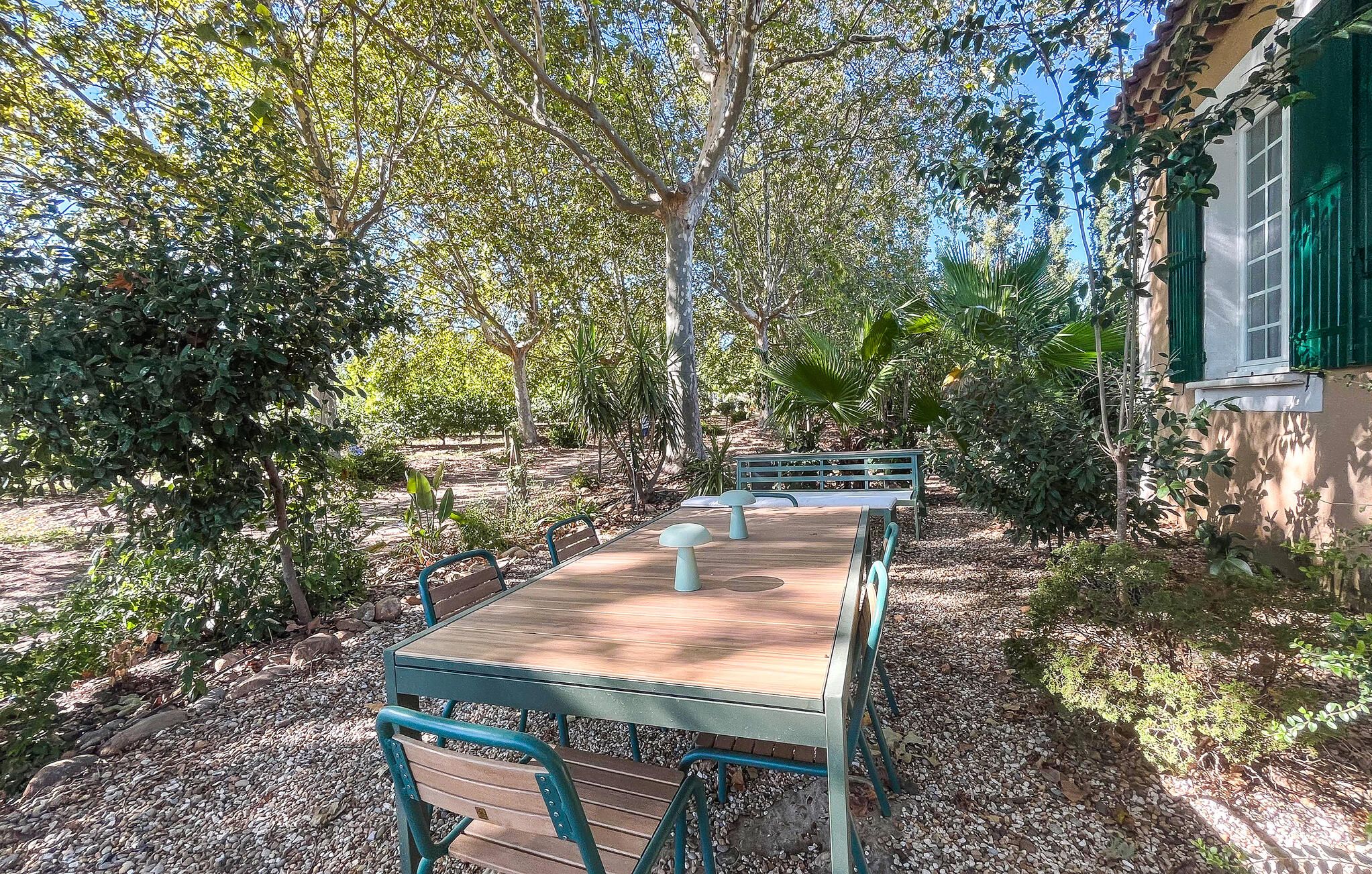 An outdoor seating area with a table and chairs, surrounded by trees and plants.