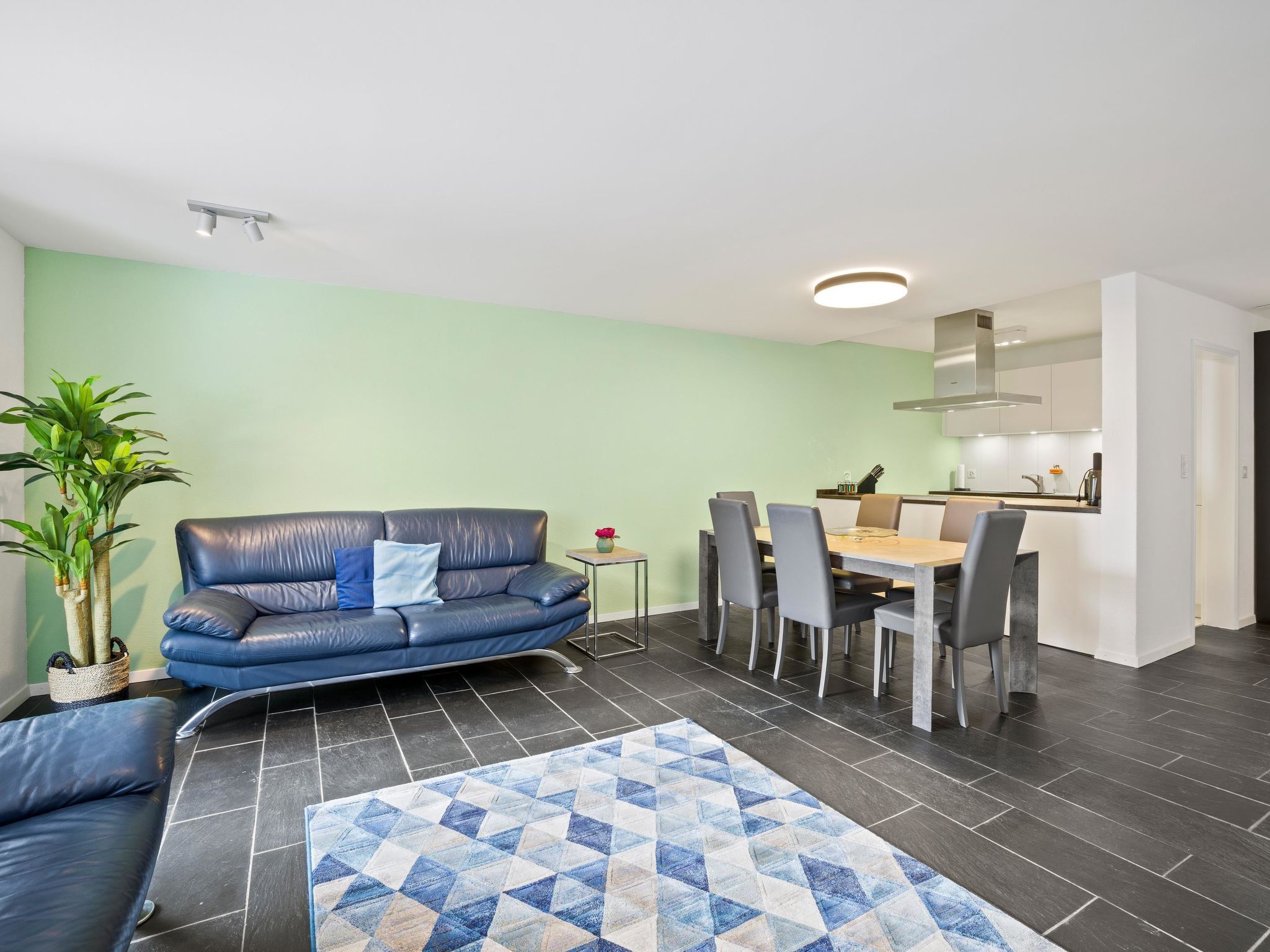 A modern living room with a sofa, dining table, chairs, and a kitchen area.