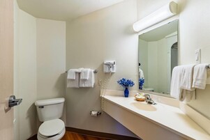 Un baño con inodoro, lavamanos, espejo y toallero.