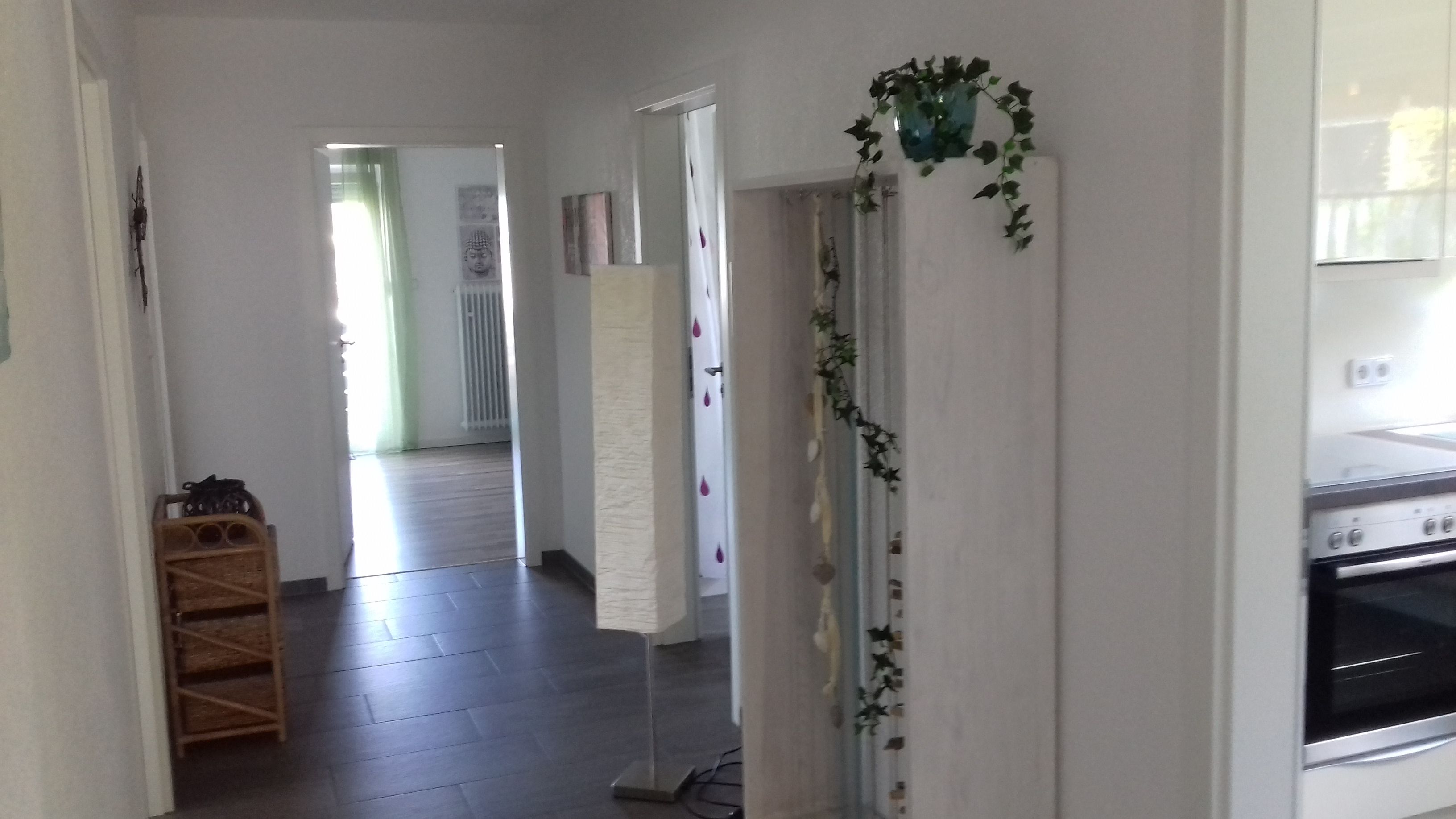 Ein Flur mit Holzboden, einer Tür mit hängenden Pflanzen und einem Küchenbereich mit einem Ofen.