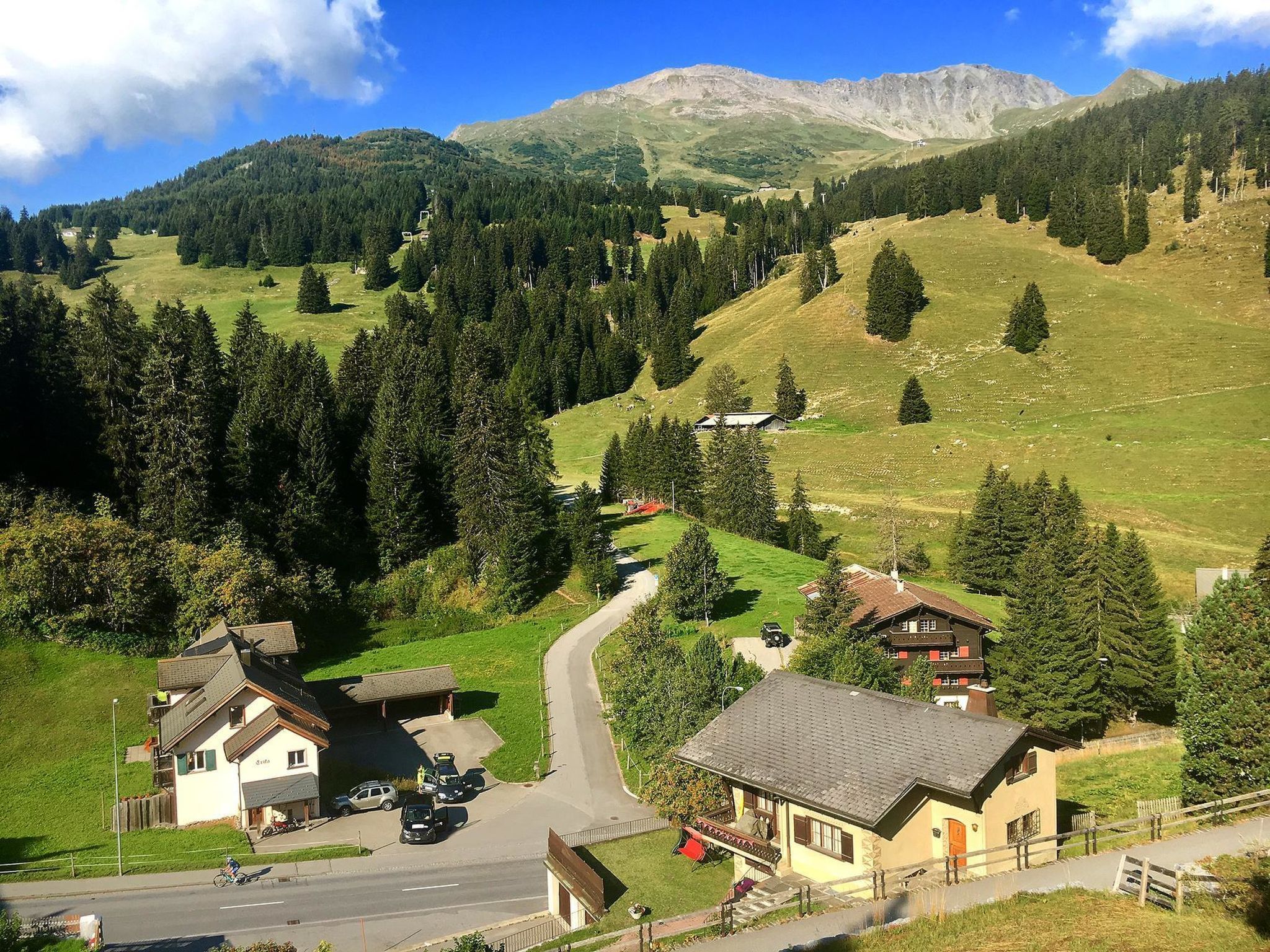 A mountain village with traditional houses, a winding road, and a view of the surrounding forest and mountains.