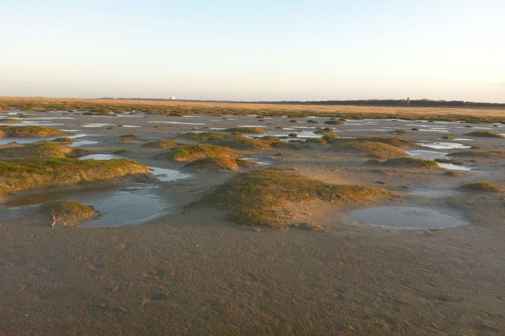 A flat, open landscape with patches of grass and puddles.