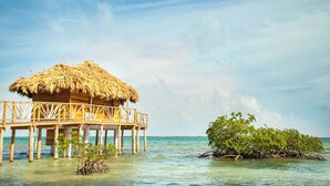 Miscellaneous - Thatch Caye (Thatch Caye)