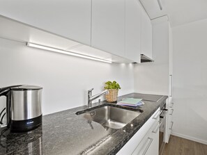 A modern kitchen with a stainless steel sink, a kettle, and a plant on the counter. - Nr.78 Haus Ladina Appartement/Fewo,   Nr.78 Haus Ladina IH by Interhome (Lenzerheide)