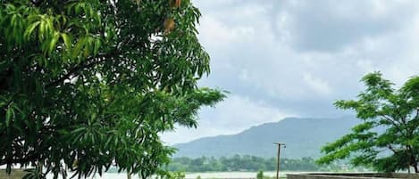 A grassy area with a tree and a view of a body of water and mountains in the distance.