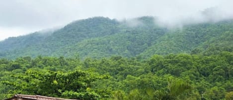 A covered outdoor area with a view of a lush green forested hill.